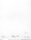 Historisches Foto (Rückseite) von Cracensigillatus acutirostris (Moericke, 1889) (NHMW-AFW-GEO-BACHMAYER-FOTO-1990-0041-0619)